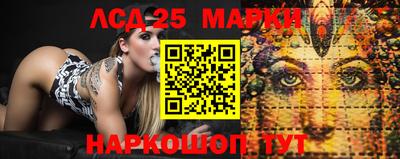 ALPHA PVP Ярославль